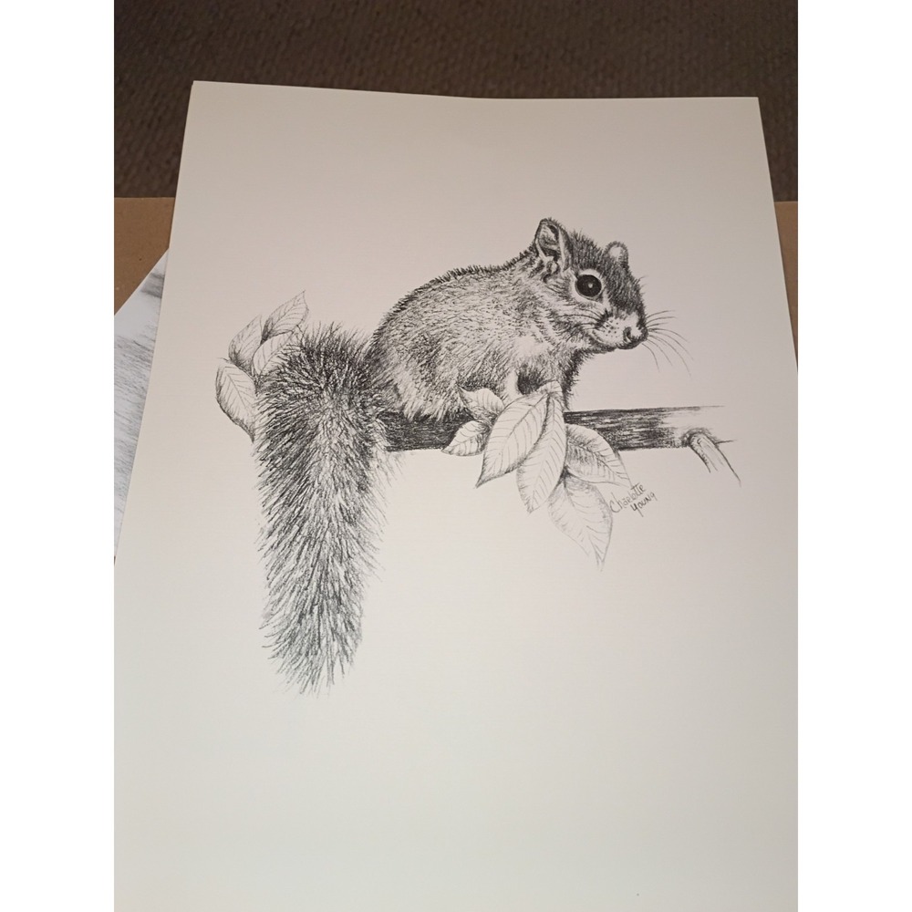 Charlotte Young Art Print Squirrel And Pig‎ 13.5x10.5 Sketched Certificate Of...